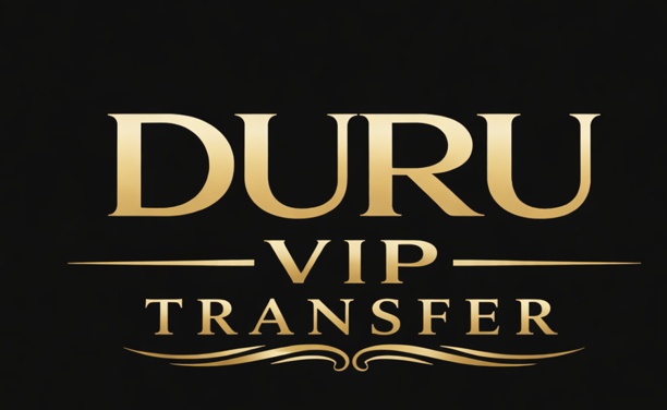 VIP Vito Seyahat Logo